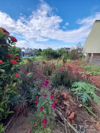 Terreno, foto 1