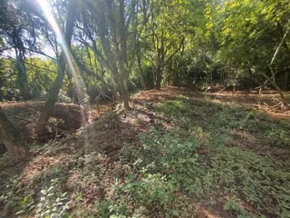 Área rural, foto 13