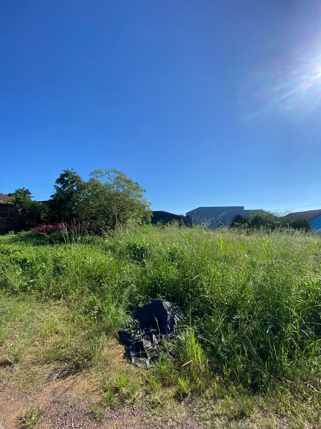 Terreno, foto 3