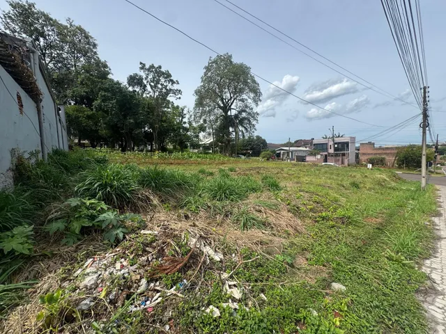 Terreno