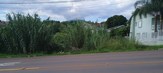 Terreno, foto 2