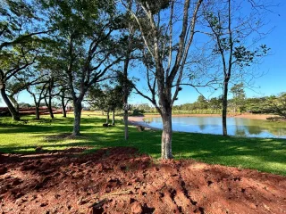 Terreno, foto 10