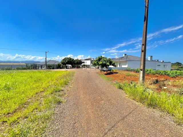 Vista de uma estrada de terra com vegetação e residências ao fundo.