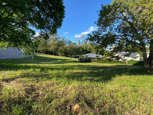Terreno, foto 3