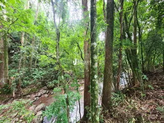 Casa com 4 dormitórios, foto 21