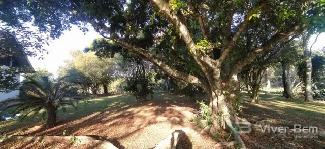 Casa com 6 dormitórios, foto 4