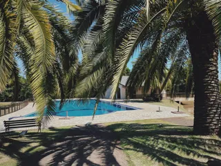 Vista externa de uma piscina e jardim com palmeiras.
