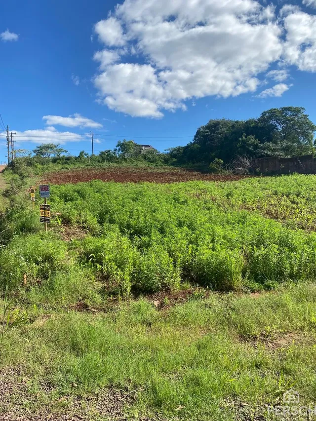 Terreno, foto 3