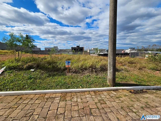 Terreno, foto 3