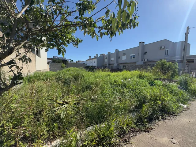 Terreno, foto 3