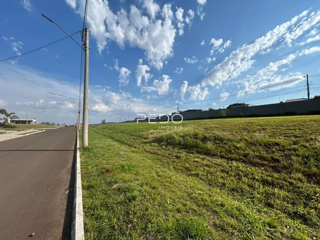Vista da propriedade com campo gramado e estrada ao lado.