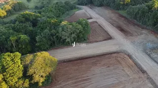 Vista aérea de um terreno com vegetação densa e estradas de terra.
