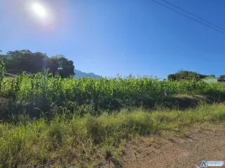 Terreno, foto 4