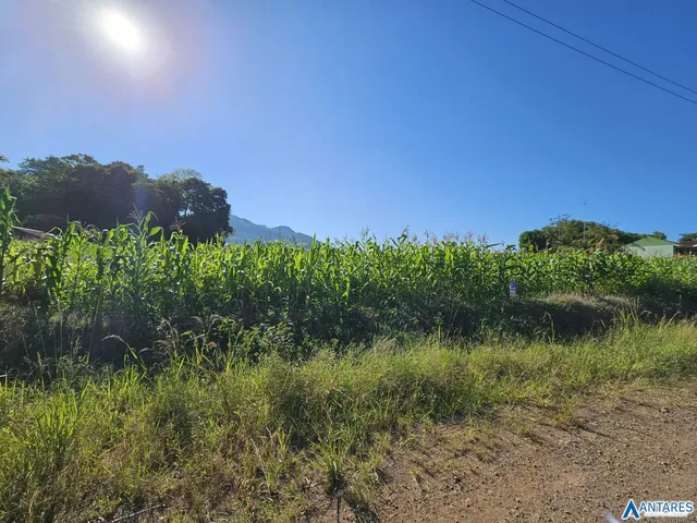 Terreno, foto 4