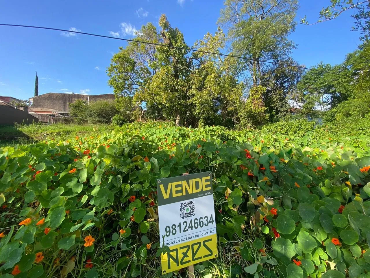 Foto da vegetação exuberante e de uma placa de venda em Lajeado.