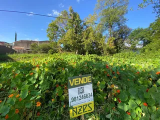 Foto da vegetação exuberante e de uma placa de venda em Lajeado.