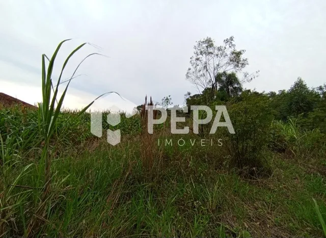 Terreno, foto 3