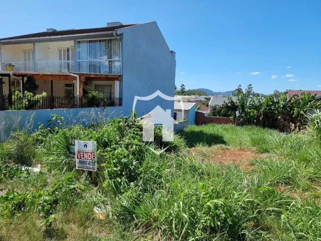Terreno, foto 3