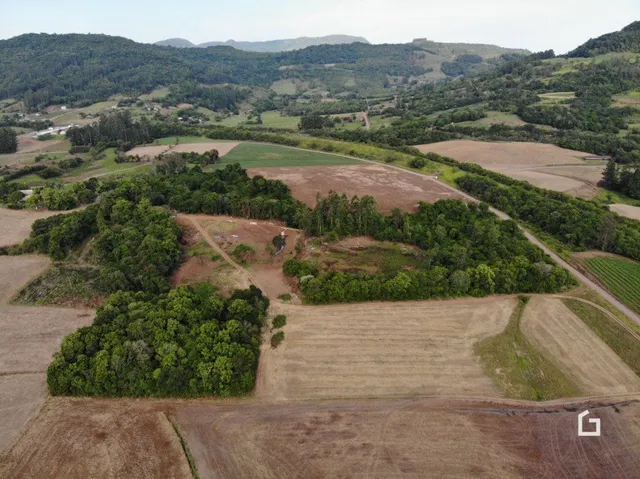Vista aérea de terras agrícolas e vegetação na região de Lajeado.