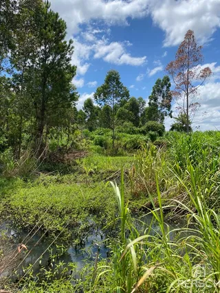 Área rural, foto 4