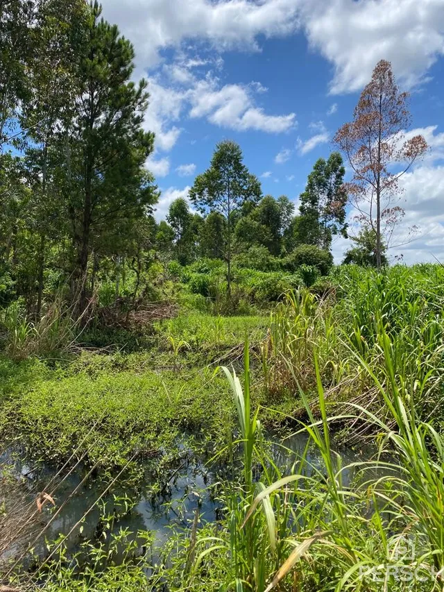 Área rural, foto 4