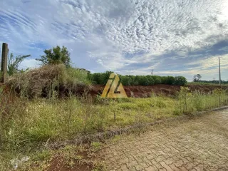 Terreno, foto 3