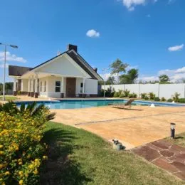 Terreno, foto 7