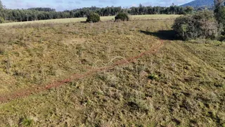Vista de um campo aberto com vegetação rasteira e árvores no horizonte.