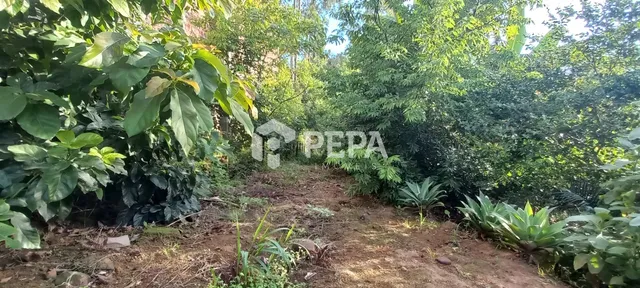 Área rural, foto 2