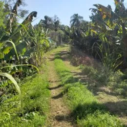 Área rural, foto 5