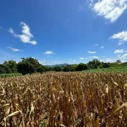 Área rural com 3 dormitórios, foto 12