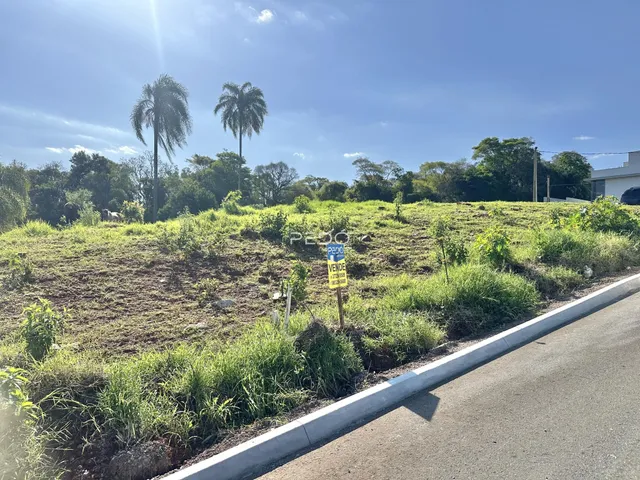 Vista de um terreno gramado com vegetação alta e árvores ao fundo.