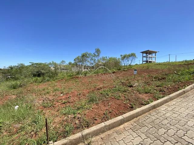 Terreno, foto 3