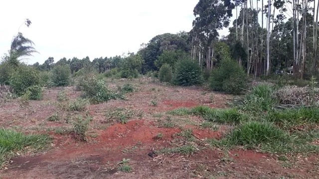 Área rural com 2 dormitórios