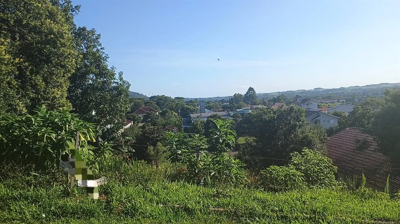 Terreno, foto 1