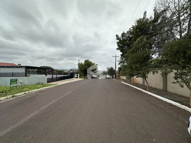 Vista da rua em Lajeado, Brasil com vegetação ao longo da via.