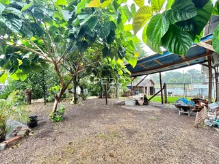 Área externa com vegetação densa e estrutura de cobertura ao fundo.