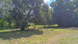 Terreno, foto 1