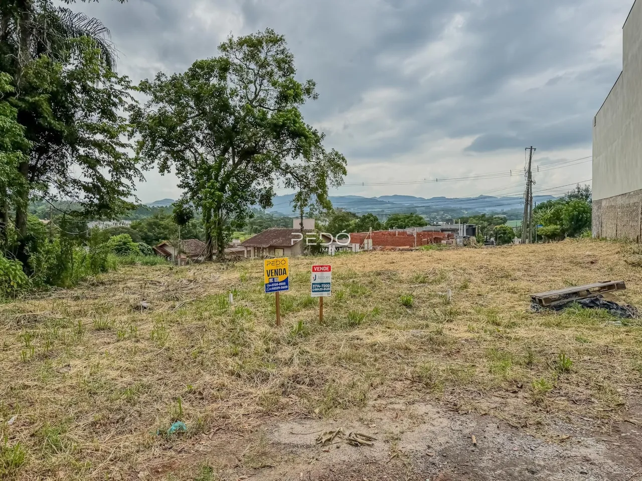 Campo gramado com árvores e placas em uma área rural.