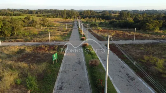 Vista de uma estrada rural com vegetação densa ao longo do caminho.