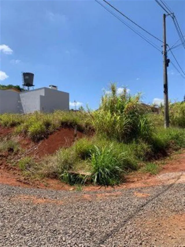Terreno, foto 2
