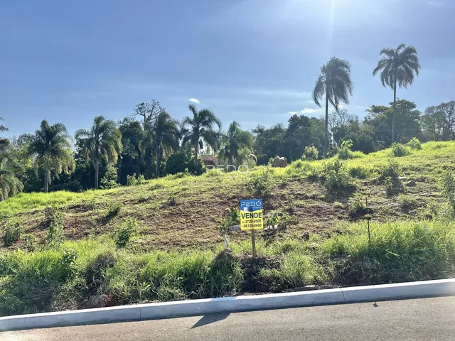 Vista de uma área gramada com vegetação e uma placa em uma propriedade em Lajeado.