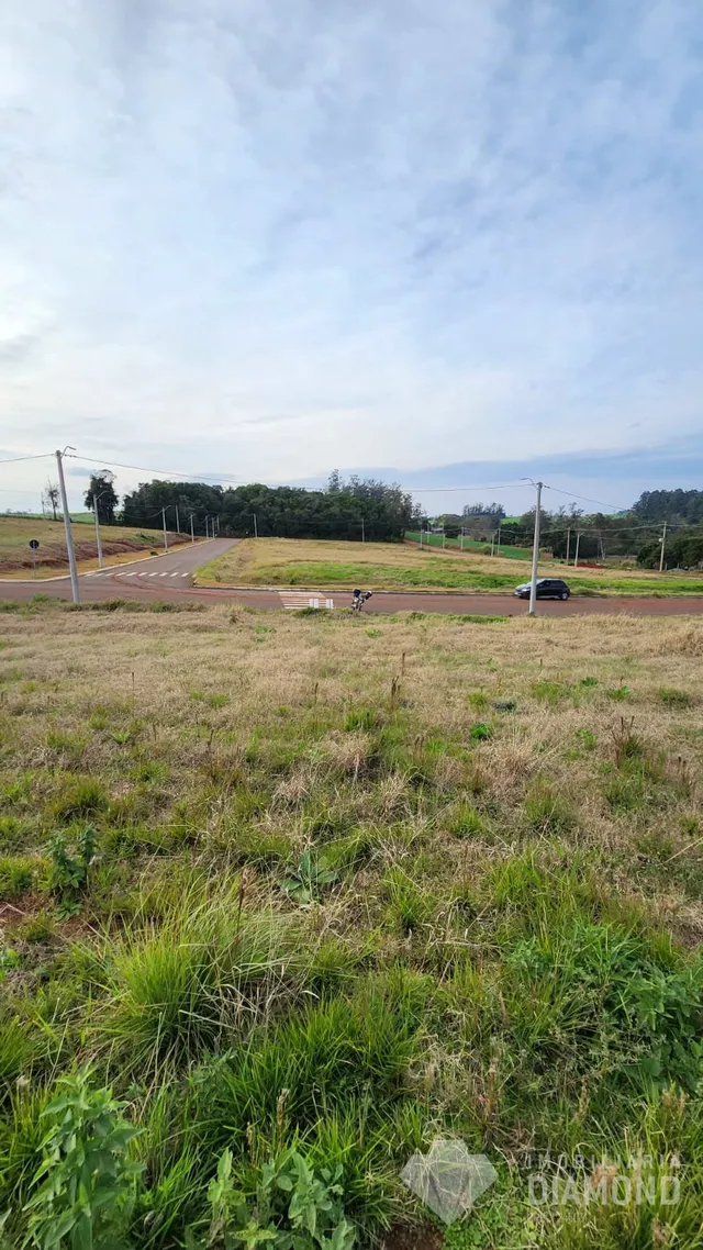 Terreno, foto 2