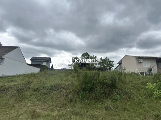 Terreno, foto 3