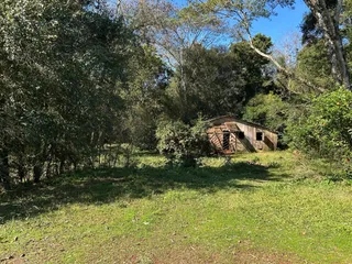 Área rural com 3 dormitórios, foto 7
