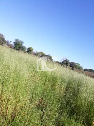 Área rural, foto 11