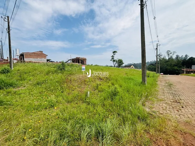 Paisagem de campo com vegetação alta e estruturas ao fundo.