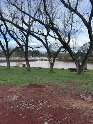 Terreno, foto 5