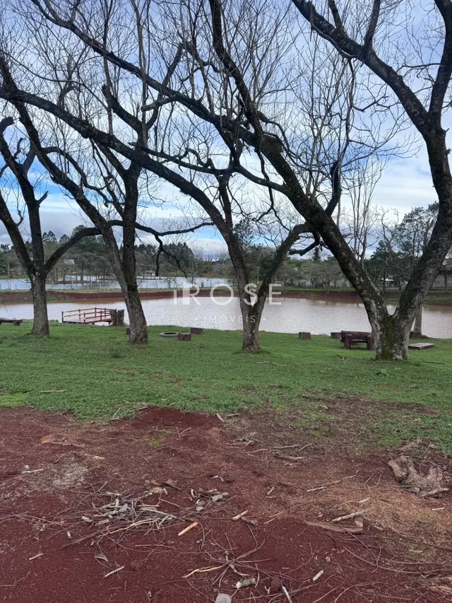 Terreno, foto 5