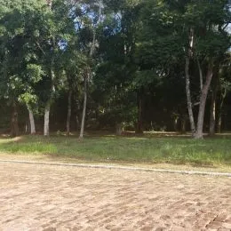 Vista externa mostrando uma área gramada com árvores.